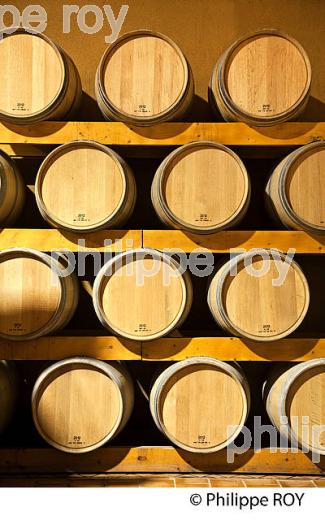 CHAI A BARRIQUES, AOC MONTAGNE SAINT-EMILION, VINS DE BORDEAUX, GIRONDE. (33V43325.jpg)