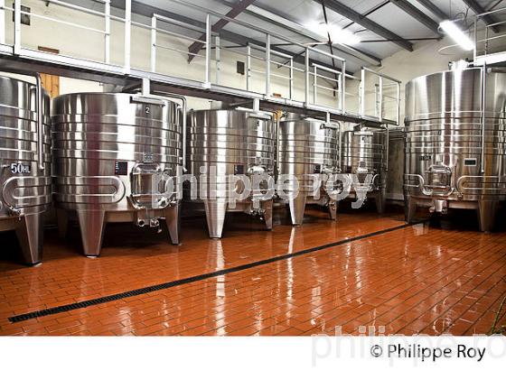 CUVIER DE VINIFICATION , INOX, AOC MONTAGNE SAINT-EMILION, VINS DE BORDEAUX, GIRONDE. (33V43331.jpg)