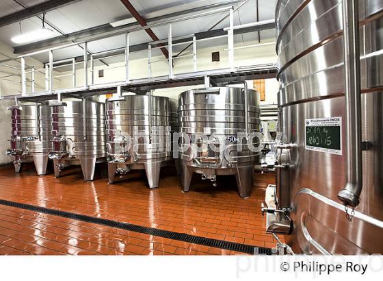 CUVIER DE VINIFICATION , INOX, AOC MONTAGNE SAINT-EMILION, VINS DE BORDEAUX, GIRONDE. (33V43332.jpg)