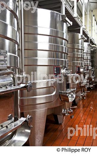 CUVIER DE VINIFICATION , INOX, AOC MONTAGNE SAINT-EMILION, VINS DE BORDEAUX, GIRONDE. (33V43334.jpg)