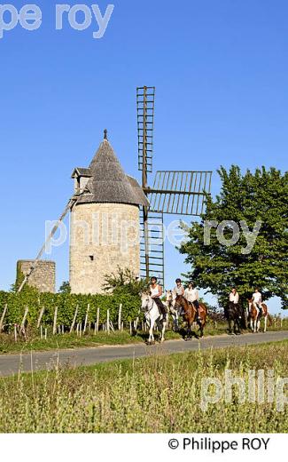 RANDONNEE EQUESTRE DANS LES VIGNES DE L' APPELLATION  MONTAGNE SAINT EMILION, VINS DE BORDEAUX. (33V43411.jpg)