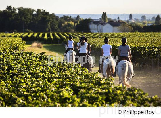 RANDONNEE EQUESTRE DANS LES VIGNES DE L' APPELLATION  MONTAGNE SAINT EMILION, VINS DE BORDEAUX. (33V43421.jpg)