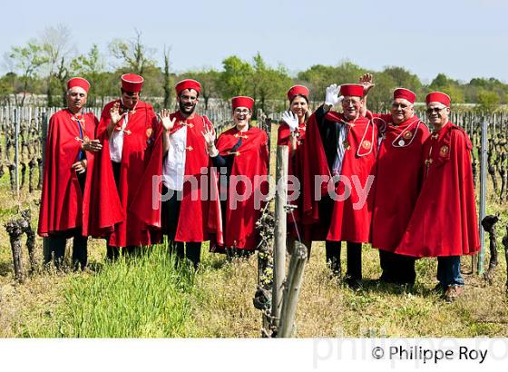 LA CONFRERIE DES VIGNERONS DE MONTAGNE SAINT-EMILION ET SAINT-GEORGE SAINT EMILION,   COMMUNE DE MONTAGNE , GIRONDE, AQUITAINE. (33V43433.jpg)