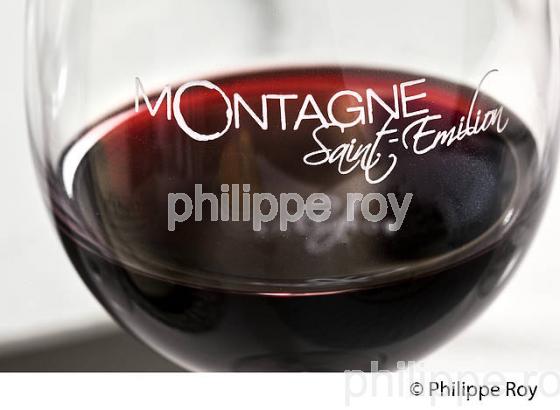 DEGUSTATION, VERRE DE VIN , AOC MONTAGNE SAINT-EMILION, VINS DE BORDEAUX, GIRONDE. (33V43521.jpg)