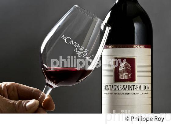 DEGUSTATION, VERRE DE VIN , AOC MONTAGNE SAINT-EMILION, VINS DE BORDEAUX, GIRONDE. (33V43522.jpg)