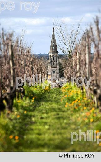 BOMMES, VILLAGE   DU SAUTERNAIS, ET VIGNOBLE DE SAUTERNES , GIRONDE. (33V43608.jpg)