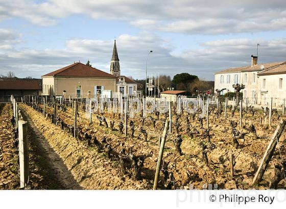 BOMMES, VILLAGE   DU SAUTERNAIS, ET VIGNOBLE DE SAUTERNES , GIRONDE. (33V43609.jpg)