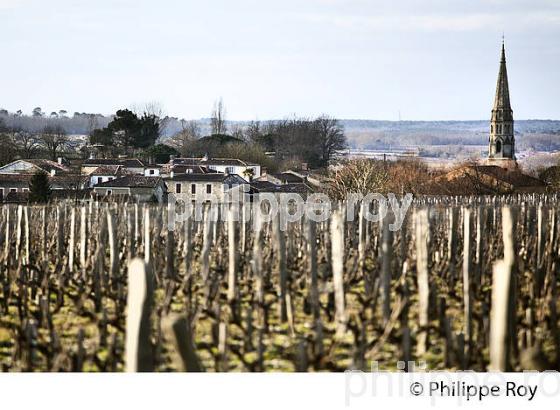 SAUTERNES, VILLAGE   DU SAUTERNAIS,  ET VIGNOBLE DE SAUTERNES , GIRONDE. (33V43612.jpg)