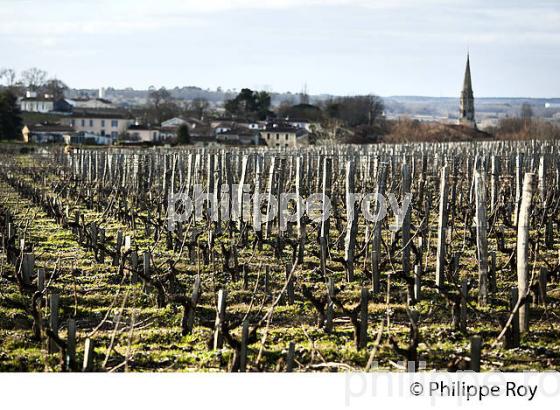 SAUTERNES, VILLAGE   DU SAUTERNAIS,  ET VIGNOBLE DE SAUTERNES , GIRONDE. (33V43613.jpg)