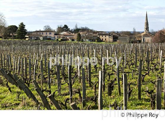 SAUTERNES, VILLAGE   DU SAUTERNAIS,  ET VIGNOBLE DE SAUTERNES , GIRONDE. (33V43615.jpg)