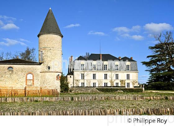 CHATEAU VITICOLE  DU SAUTERNAIS, VIN DE SAUTERNES , GIRONDE. (33V43618.jpg)