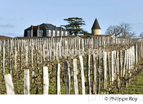 CHATEAU VITICOLE  DU SAUTERNAIS, VIN DE SAUTERNES , GIRONDE. (33V43620.jpg)