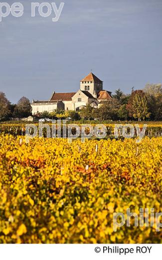 VILLAGE DE MONTAGNE ET PAYSAGE VITICOLE DE L'  AOC MONTAGNE SAINT-EMILION, VIGNOBLE DE BORDEAUX,  GIRONDE. (33V43817.jpg)