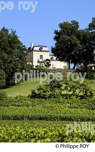 CHATEAU DE GRAND-RIGAUD  ET VIGNE,  AOC MONTAGNE SAINT-EMILION, VIGNOBLE DE BORDEAUX,  GIRONDE. (33V43821.jpg)