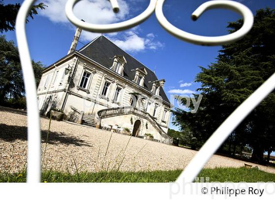 CHATEAU DE MAISON BLANCHE,  AOC MONTAGNE SAINT-EMILION, VIGNOBLE DE BORDEAUX,  GIRONDE. (33V43832.jpg)