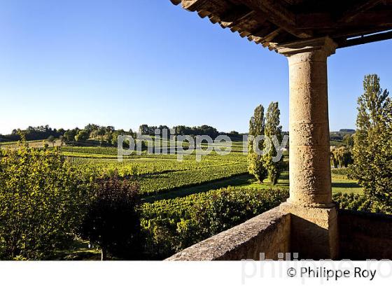 HALLE DU CHATEAU DE MUSSET,  AOC MONTAGNE SAINT-EMILION, VIGNOBLE DE BORDEAUX,  GIRONDE. (33V43902.jpg)