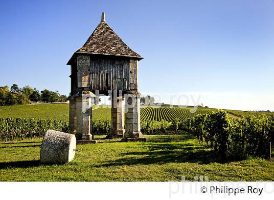 PIGEONNIER ET VIGNES DU CHATEAU CORBIN   , AOC MONTAGNE SAINT-EMILION, VIGNOBLE DE BORDEAUX,  GIRONDE. (33V43917.jpg)