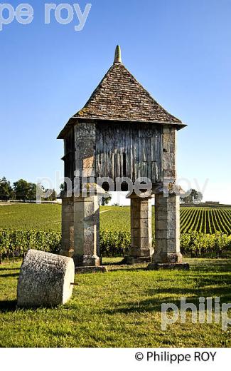 PIGEONNIER ET VIGNES DU CHATEAU CORBIN   , AOC MONTAGNE SAINT-EMILION, VIGNOBLE DE BORDEAUX,  GIRONDE. (33V43918.jpg)