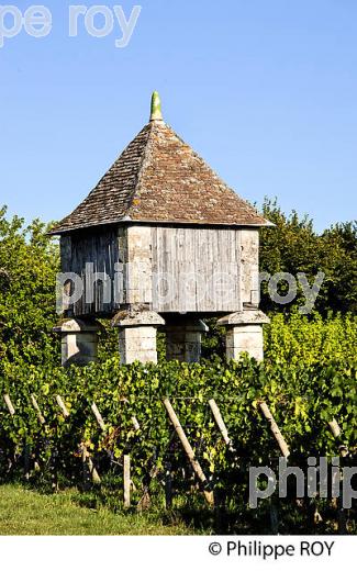 PIGEONNIER ET VIGNES DU CHATEAU CORBIN   , AOC MONTAGNE SAINT-EMILION, VIGNOBLE DE BORDEAUX,  GIRONDE. (33V43923.jpg)
