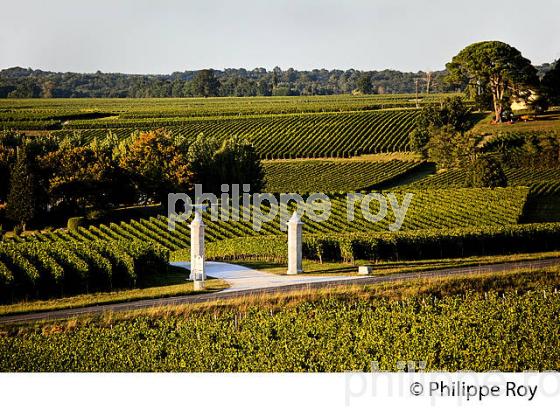 PORTAIL ET  VIGNES DU CHATEAU CORBIN   , AOC MONTAGNE SAINT-EMILION, VIGNOBLE DE BORDEAUX,  GIRONDE. (33V43938.jpg)