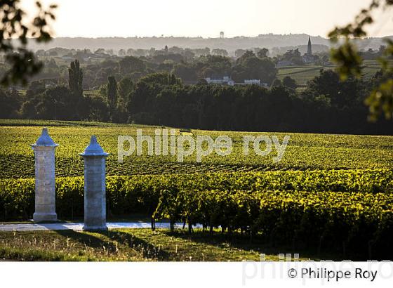 PORTAIL ET  VIGNES DU CHATEAU CORBIN   , AOC MONTAGNE SAINT-EMILION, VIGNOBLE DE BORDEAUX,  GIRONDE. (33V43939.jpg)