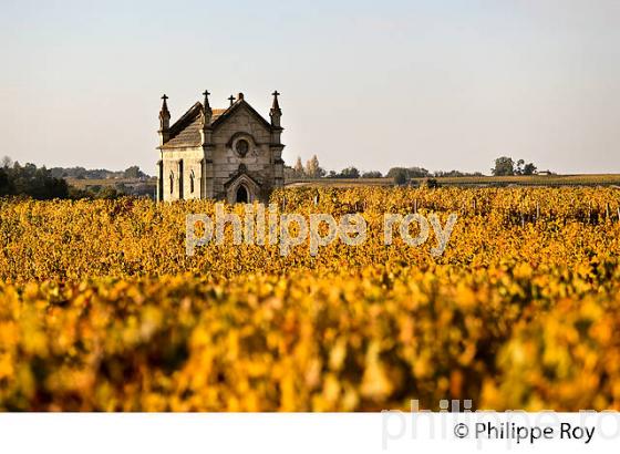 CHAPELLE ET PAYSAGE VITICOLE EN AUTOMNE ,  AOC MONTAGNE SAINT-EMILION, VIGNOBLE DE BORDEAUX,  GIRONDE. (33V44015.jpg)