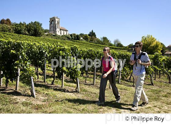 RANDONNEE PEDESTRE DANS LES VIGNES ,  OENOTOURISME, AOC MONTAGNE SAINT-EMILION, VIGNOBLE DE BORDEAUX,  GIRONDE. (33V44410.jpg)