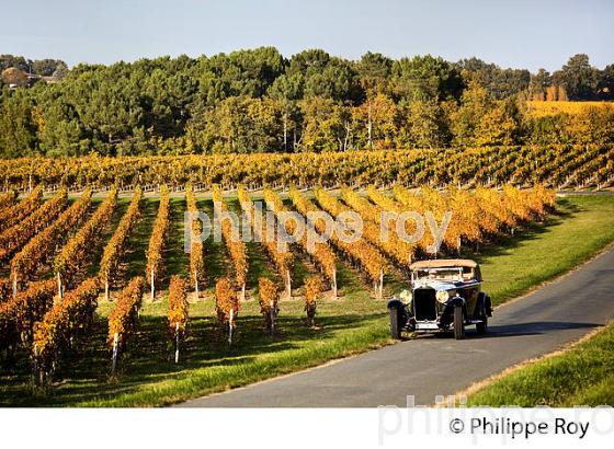 VOITURE DE COLLECTION DELAGE 1930 ET VIGNOBLE DE MONTAGNE SAINT EMILION, AUTOMNE, GIRONDE. (33V44432.jpg)