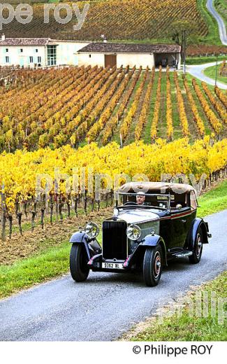 VOITURE DE COLLECTION DELAGE 1930 ET VIGNOBLE DE MONTAGNE SAINT EMILION, AUTOMNE, GIRONDE. (33V44514.jpg)
