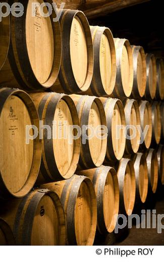 CHAI BARRIQUES,  CHATEAU MONTAIGUILLON,   AOC  MONTAGNE SAINT-EMILION, MONTAGNE, GIRONDE (33V44620.jpg)
