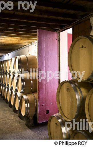 CHAI BARRIQUES,  CHATEAU MONTAIGUILLON,   AOC  MONTAGNE SAINT-EMILION, MONTAGNE, GIRONDE (33V44621.jpg)