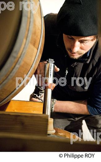 ENTONNAGE VIN EN  BARRIQUES,  CHATEAU FRANC BAUDRON,    AOC  MONTAGNE SAINT-EMILION, MONTAGNE, GIRONDE (33V44624.jpg)