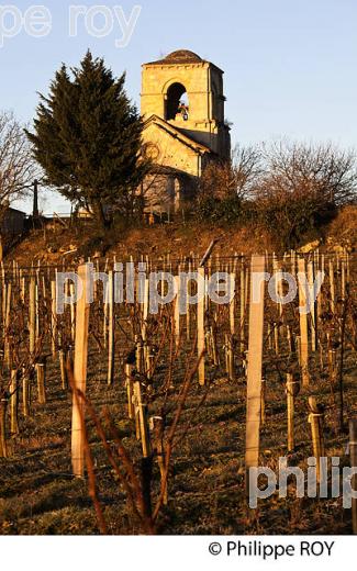 EGLISE ROMANE DE PARSAC ET  VIGNE EN HIVER, VIGNOBLE DE MONTAGNE SAINT EMILION. (33V44729.jpg)