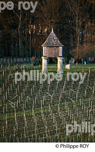 PIGEONNIER, VIGNOBLE  AOC  MONTAGNE SAINT-EMILION, MONTAGNE, GIRONDE,AQUITAINE, (33V44737.jpg)