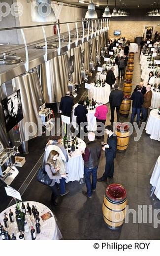 DEGUSTATION DES VINS  DE BORDEAUX EN PRIMEUR, MILLESIME 2015. (33V45309.jpg)