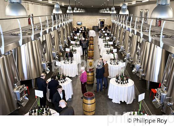 DEGUSTATION DES VINS  DE BORDEAUX EN PRIMEUR, MILLESIME 2015. (33V45310.jpg)