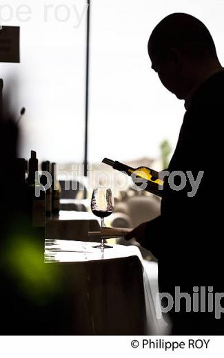 DEGUSTATION DES VINS  DE BORDEAUX EN PRIMEUR, MILLESIME 2015. (33V45315.jpg)