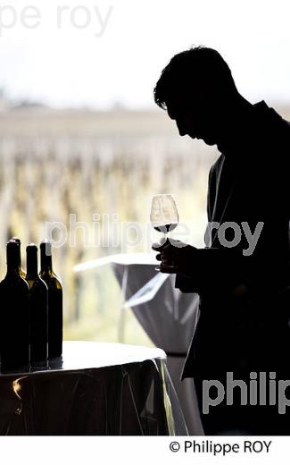 DEGUSTATION DES VINS  DE BORDEAUX EN PRIMEUR, MILLESIME 2015. (33V45316.jpg)