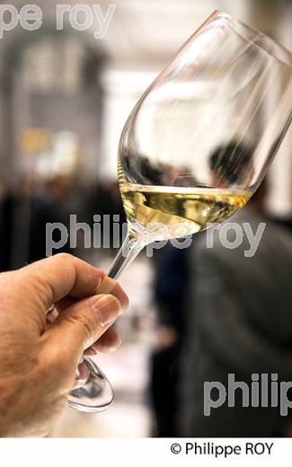 DEGUSTATION DES VINS AOC GRAVES ,  EN PRIMEUR, MILLESIME 2015. (33V45406.jpg)