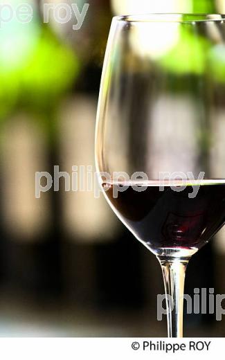 DEGUSTATION DES VINS  DE BORDEAUX EN PRIMEUR, MILLESIME 2015. (33V45409.jpg)