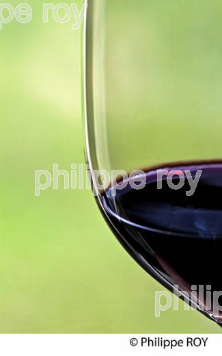 DEGUSTATION DES VINS  DE BORDEAUX EN PRIMEUR, MILLESIME 2015. (33V45419.jpg)