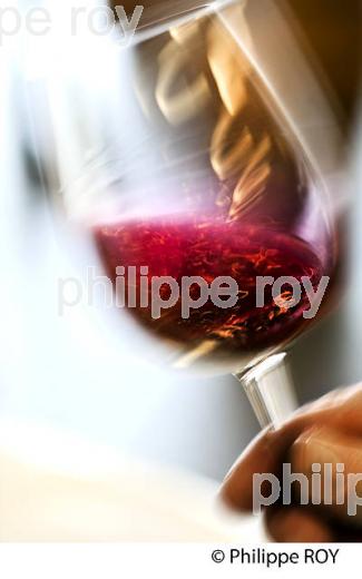 DEGUSTATION,  VINS PRIMEURS, VERRE DE VIN ROUGE, SAINT EMILION,  VINS DE BORDEAUX. (33V45422-ok.jpg)
