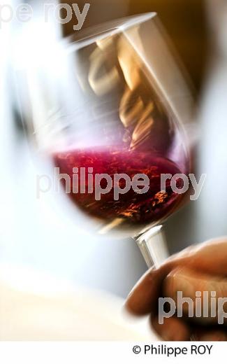 DEGUSTATION DES VINS  DE BORDEAUX EN PRIMEUR, MILLESIME 2015. (33V45422.jpg)