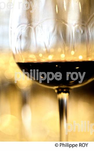 DEGUSTATION DES VINS  DE BORDEAUX EN PRIMEUR, MILLESIME 2015. (33V45424.jpg)