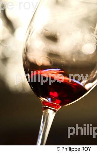 DEGUSTATION,  VINS PRIMEURS, VERRE DE VIN ROUGE, SAINT EMILION,  VINS DE BORDEAUX. (33V45425-ok.jpg)