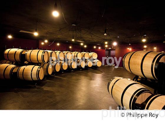 CHATEAU LA DOMINIQUE,  SAINT EMILION, GRAND CRU CLASSE, VINS DE BORDEAUX, GIRONDE. (33V45506.jpg)