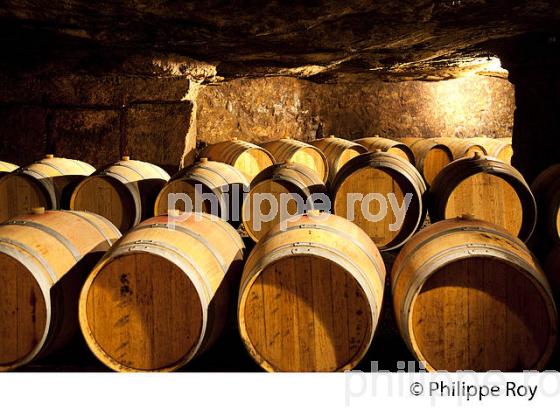 CHATEAU LAMOTHE DE HAUX, VIGNOBLE DE BORDEAUX, GIRONDE. (33V46002.jpg)