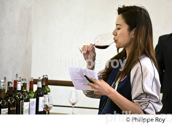 ACCUEIL PRESSE, DEGUSTATION DE VIN  AOC  GRAVES DE PESSAC-LEOGNAN, VINS DE BORDEAUX. (33V46139.jpg)