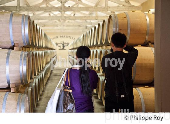 ACCUEIL PRESSE, CHATEAU LATOUR-MARTILLAC,  AOC  GRAVES DE PESSAC-LEOGNAN, VINS DE BORDEAUX. (33V46204.jpg)