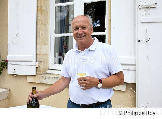 ACCUEIL PRESSE, CHATEAU LATOUR-MARTILLAC,  AOC  GRAVES DE PESSAC-LEOGNAN, VINS DE BORDEAUX. (33V46207.jpg)